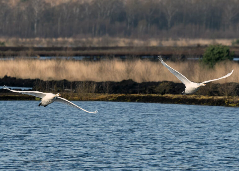 Landschaften und Natur 151 Hemelsdorfer See