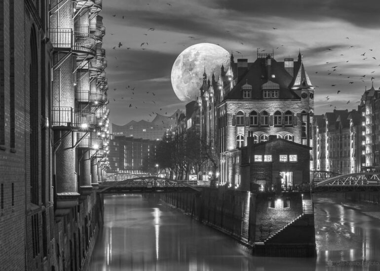 Nebel in der Speicherstadt