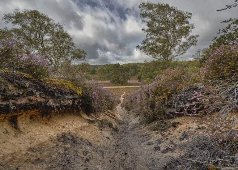 Landschaften und Natur 120 Hemelsdorfer See
