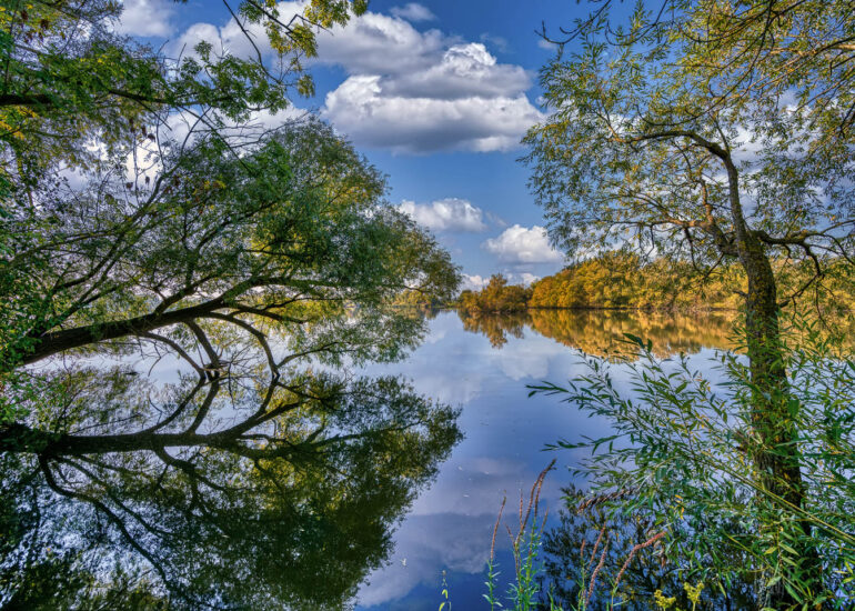 Landschaften und Natur 125 Hemelsdorfer See