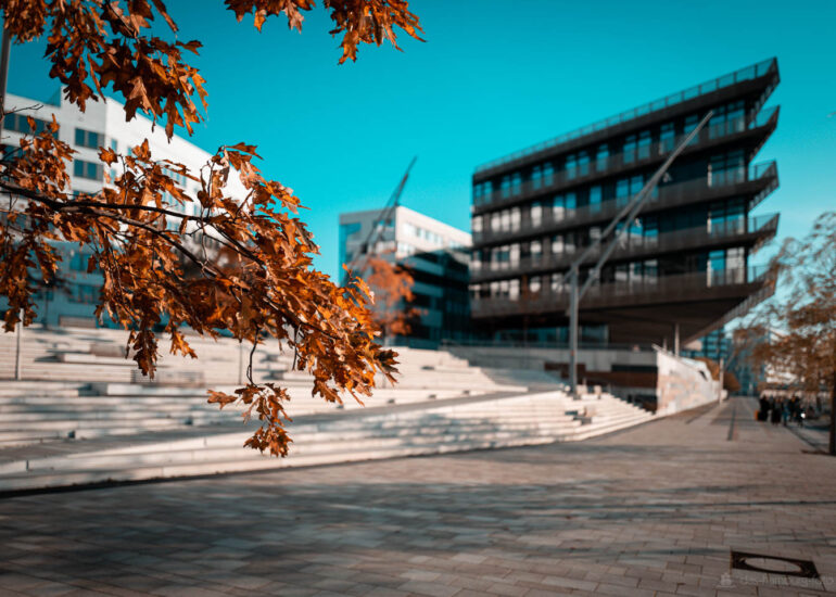 Im Trend: Moderne Hamburg Bilder 71 Blick in den Hamburger Hafen