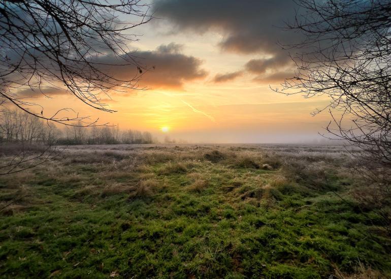 Landschaften und Natur 80 Hemelsdorfer See