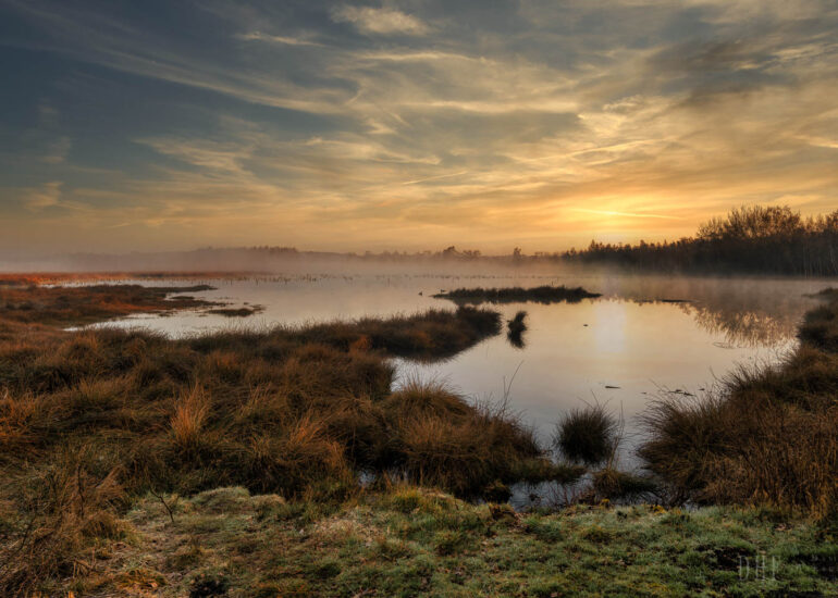 Landschaften und Natur 178 Hemelsdorfer See