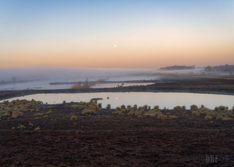 Landschaften und Natur 128 Hemelsdorfer See
