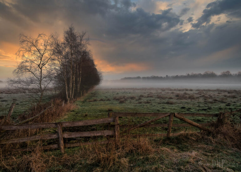 Landschaften und Natur 4 Hemelsdorfer See