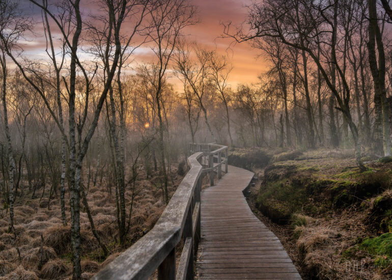 Landschaften und Natur 20 Hemelsdorfer See